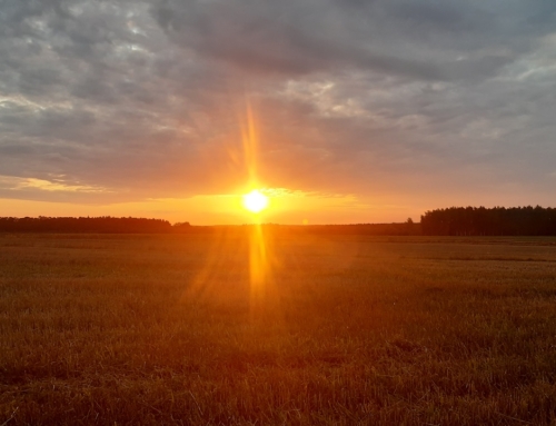 Ogień miłości